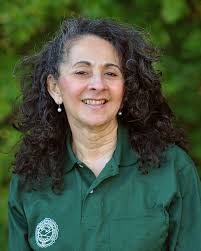 Meet Our New Faculty