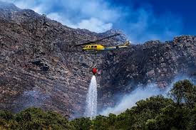 Image result for tbn:XVFRz-6Maj2JLM::www.jolmag.co.za/wildfire/images/Logos/vuvuzela_header.jpg