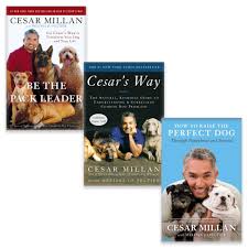If you decide to let your dog swim, check out and follow these tips before you start. Cesar Milan 3 Books Collection Set By Cesar Millan