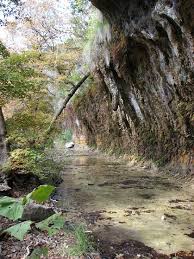 Annual passes are available for texas state parks. Lost In The Beauty Of Lost Maples Digging
