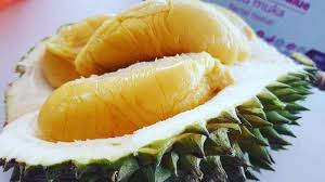 Membawa durian masuk pesawat sebenarnya diperbolehkan oleh maskapai. Cara Mengemas Durian Supaya Tidak Bau Saat Dibawa Naik Pesawat Tribun Travel