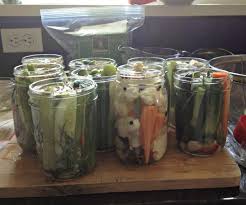 We did not find results for: Quick Refrigerator Dill Pickles Mountain Mama Cooks