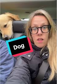 ann reva (@ann.reva)