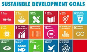 Niti aayog is planned as a think tank institution which stands not only as a hub for knowledge but also for good governance. Niti Aayog Cii Signed Mou On Sustainable Development Goals Details Objectives