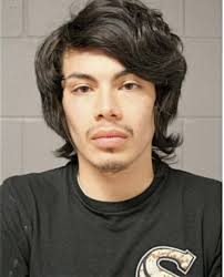 ᐅ Illinois Criminal Records 2009-2025