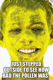 Meme Monday! It's pollen season! #MemeMonday #polleninnc #spring