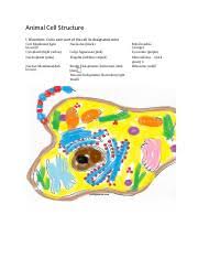 26.03.2019 · animal cell coloring key is the good media to be used in the learning process. Biologycorner Com Animal Cell Coloring Key 28sng Edzzhv M Animal Cell Worksheet Colouring Pages Homeschooling Animal Cell Bettie Images