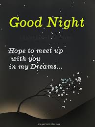 Good Night Good Night Wishes Good Night Night Wishes