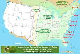 What you need to know spring 2021 hummingbird migration has taken place after spending the winter down south, hummingbirds return to the u.s. 2018 Hummingbird Spring Migration Map 2018 Hummingbird Sightings Migration Patterns Migration Times