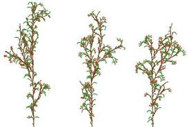 Image result for L systems