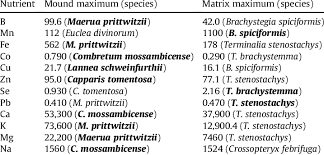 Image result for Maerua prittwitzii