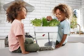 Using apkpure app to upgrade hydroponics design ideas, fast, free and save your internet data. 3 Best Tabletop Hydroponic Kits 2021 Hgtv