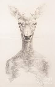 Mike dewine, shortly before the state's 7:29 p.m. Surreal Hand Drawing Of A Deer Decorative Artwork Cebanenco Stanislav Drawing By Cebanenco Stanislav