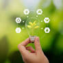 Economic Sobriety: Pathway to Sustainable Growth and Worker Resilience in Europe
