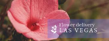 We take great pride in always sourcing the freshest flowers. The 14 Best Options For Flower Delivery In Las Vegas 2021