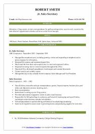 The secretary is tasked with managing routine detail. Sales Secretary Resume Samples Qwikresume