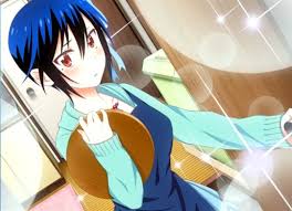 Avec 720 épisodes au total, l'anime se terminait en mars 2017, nous laissant la satisfaction d'avoir vu l'évolution de naruto jusqu'à son âge adulte. Nisekoi Watch On Crunchyroll