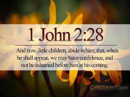  Pin On Bible Reflections