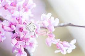 Engagement Rings 101 All The Basics To Know Before You Shop Engagement Rings 101 Wedding Rings Engagement Engagement Rings