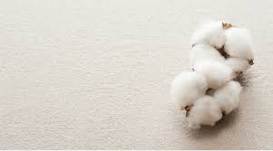 10 Things You Never Knew About Cotton : Levi Strauss & Co