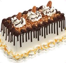 Birthday Chocolate Ice Cream Cake Recipe Cake Gallery Baskin Robbins Cakes Homemade Ice Cream Cake Ice Cream Desserts