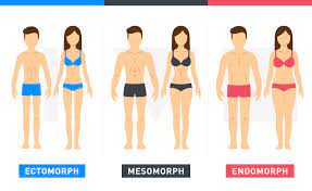 With full body training however, you're hitting everything all at once. Body Type Workouts What You Need To Know