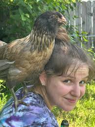 3 days old this is the papa and this is the mom