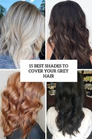 Your hair has turned orange. 15 Best Shades To Cover Your Grey Hair Styleoholic