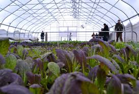 Tool Dude's Blog: January 2011