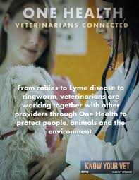 Read unbiased reviews, ratings and recommendations on local practices. Isvma 2019 Healthy Pet Promos Day 7 Know Your Vet 1 Illinois State Veterinary Medical Association