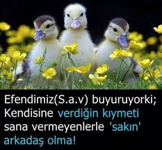 Gul Adli Kullanicinin Sozler Panosundaki Pin Dualar Islam Ozlu Sozler