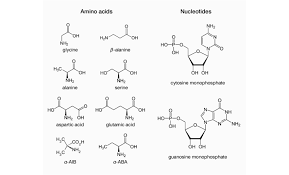 Since there are 64 combinations of 4 nucleotides taken three at a time and only 20 amino acids, the code is degenerate (more than one codon per amino acid, in most cases). The Differing Structural Complexities Of Nucleotides And Amino Acids Download Scientific Diagram