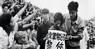 Cultural Revolution was party's mistake, not just Mao's ...