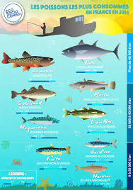 Epingle Sur La Peche Le Poisson La Mer