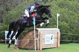 Verein für vielseitigkeitsreiten bad harzburg e.v. Vielseitigkeitsreiten Wikipedia