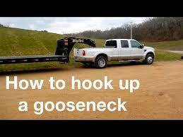 Gooseneck barnacle, a species of crustacean. Pin On Carcare