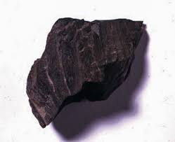 We did not find results for: ì…°ì¼ Definisi ì…°ì¼ Dalam Kamus Kreol Haiti