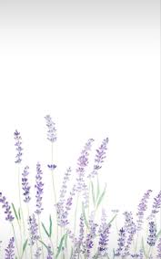 Zulema Robles López (zrobleslpez) - Profile | Pinterest