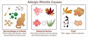Rhinitis Types