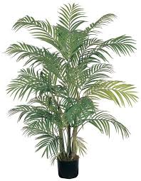 Overstock Com Online Shopping Bedding Furniture Electronics Jewelry Clothing More Silk Plants Potted Trees Areca Palm