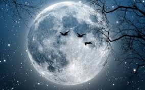 How To Say Moon In French What Is The Meaning Of Lune Ouino