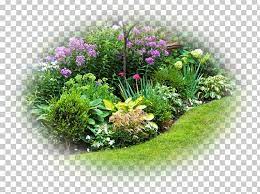 Perennial Garden Design Perennial Garden Plants Shade Garden Perennial Plant Png Annual Plant Back Garden Perennial Garden Design Annual Plants Shade Garden