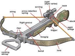 Best Crossbow For The Money 2019 155 In Field Crossbow