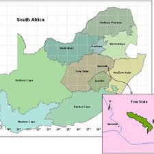 Image result for Asterochaete angustissima