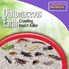 Safer brand 4 lb diatoeous earth bed bug flea ant crawling insect 51703 the. Diatomaceous Earth Walmart