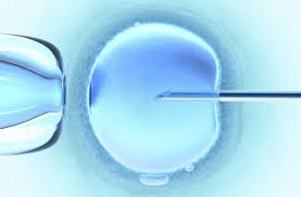 Insemination