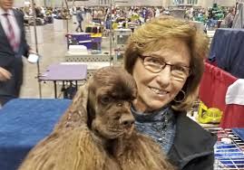 Find your new family member today, and discover the puppyspot difference. Pet Tales Striker The Cocker Spaniel Looking To Win Big At Westminster Pittsburgh Post Gazette