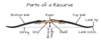 Choosing A Recurve Bow Hunting Bow Blog