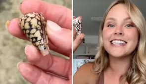 TikTok Influencer Has Important Message After Unknowingly Handling Deadly  Cone Snail