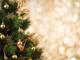 Fab finds in store.here today, gone tomorrow! Danbury Schedules January Christmas Tree Pickup Danbury Ct Patch